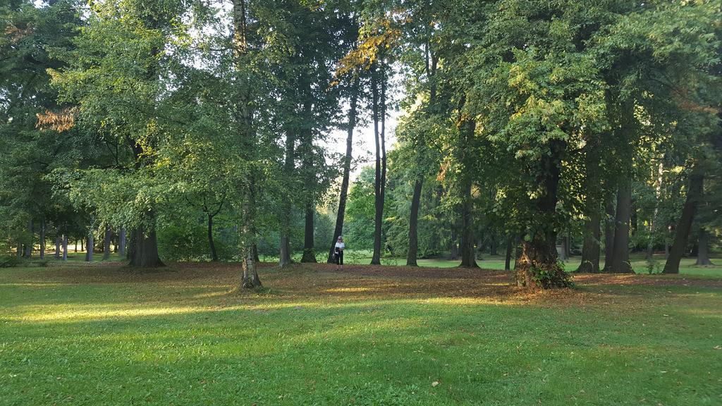 Romantic Chateau Krásná Lípa Bagian luar foto